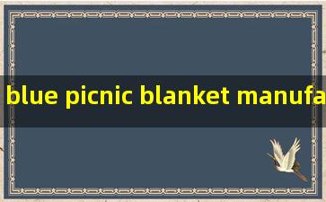blue picnic blanket manufacturers